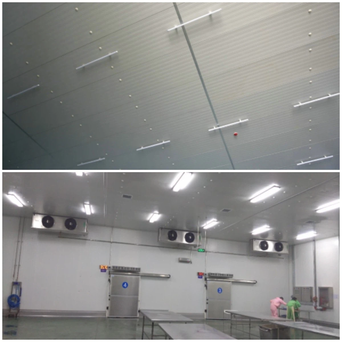 product-1200-1200 product-1200-1200